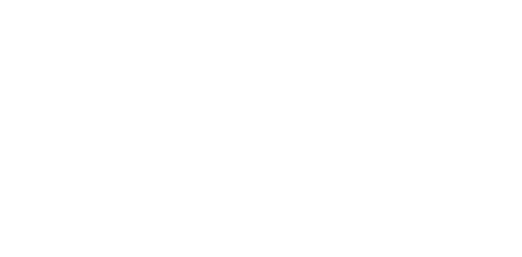 Wright State University Logo_White